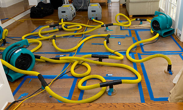Professional Storm Water Damage Restoration technician working in North Salt Lake, UT
